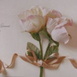 100905-rose