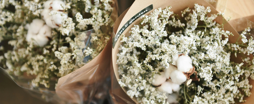 Gypsophile Mariage