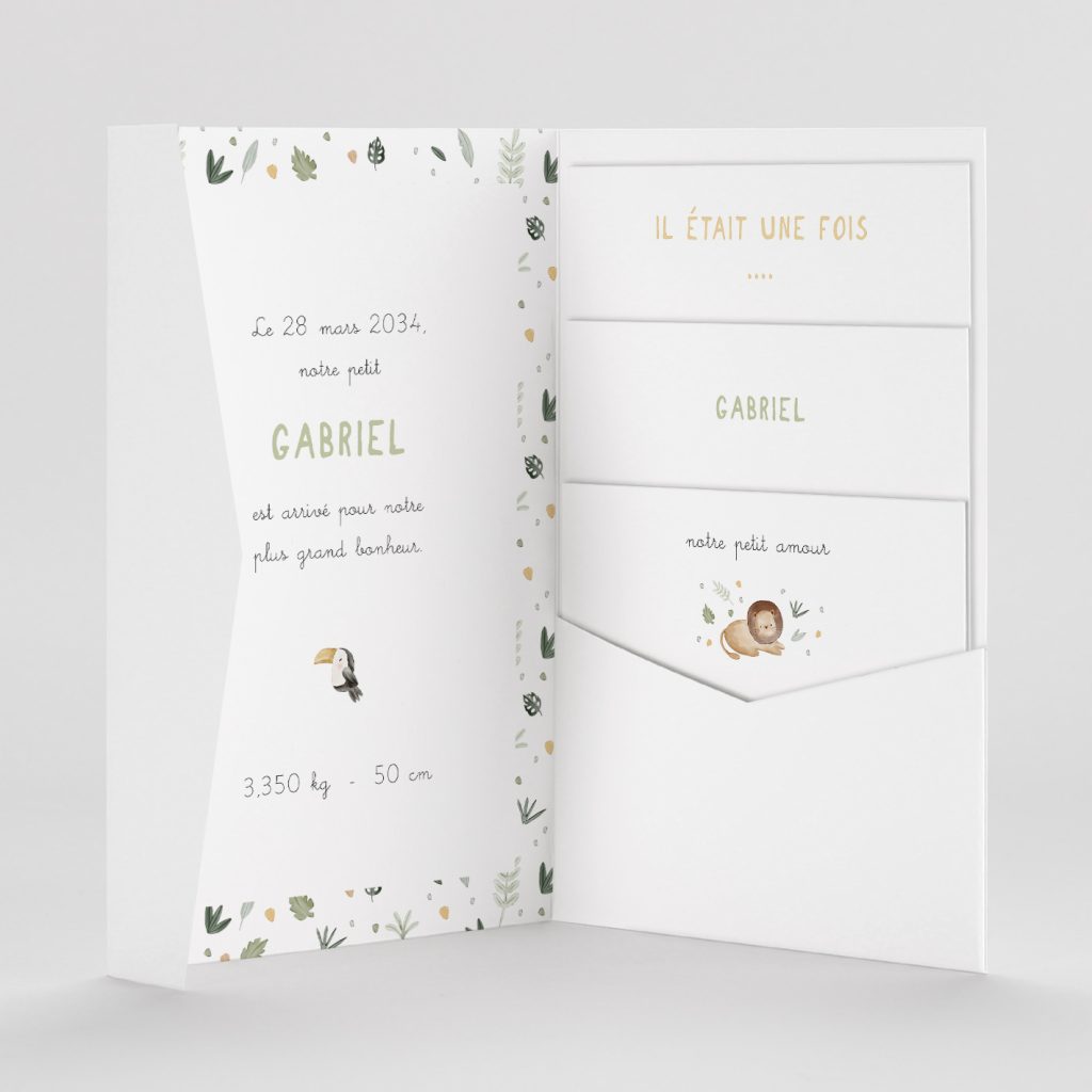 Faire part naissance ma petite savane