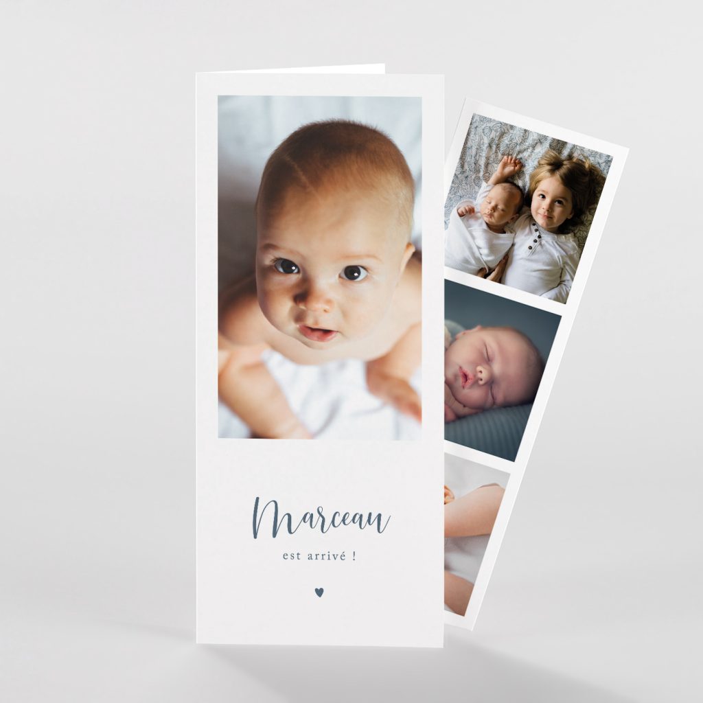 Faire part naissance animaux marin